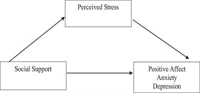 Social support and mental health: the mediating role of perceived stress